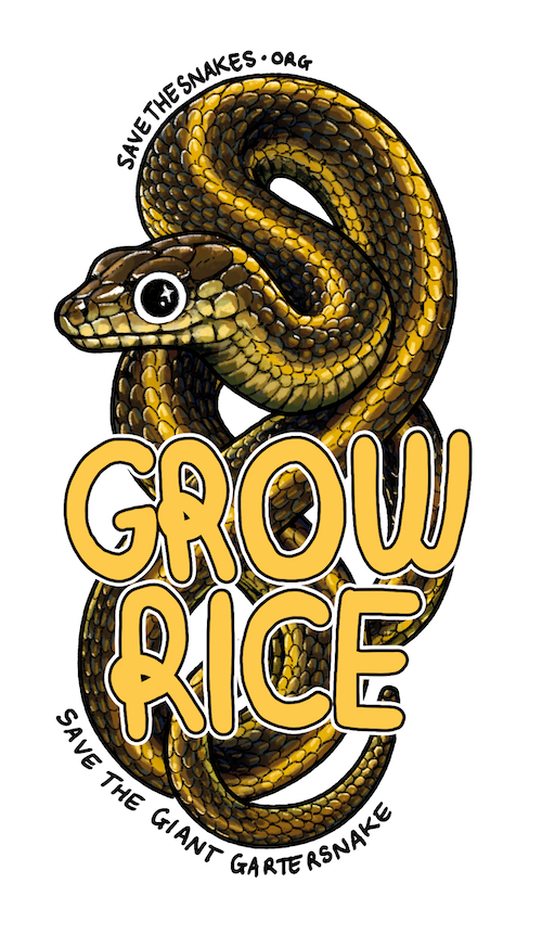 Grow Rice & Save The Giant Gartersnake Sticker - Save The Snakes